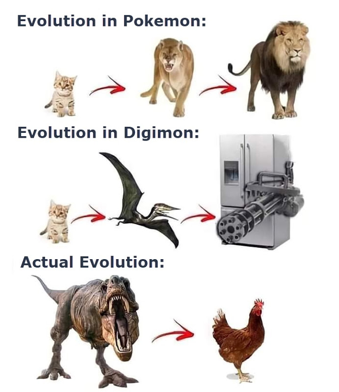 evolutionmeme.jpg